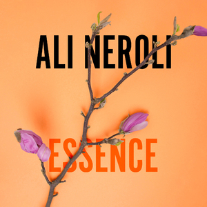 金谷乃宁无法拒绝的
