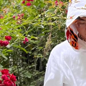 金谷乃宁无法拒绝的
