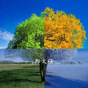 金谷乃宁无法拒绝的
